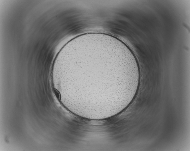 X0000100411440200806271434