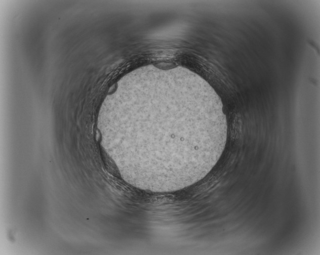 X0000100411441200806271433