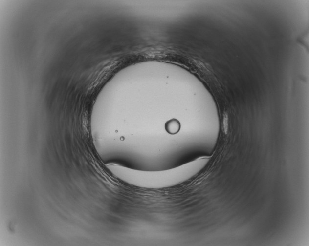 X0000100411444200806271433