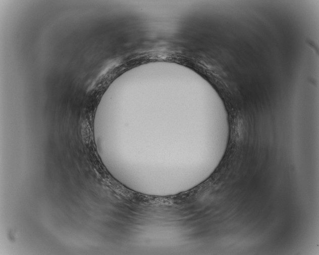 X0000100411446200806271433