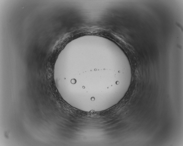 X0000100411447200806271433