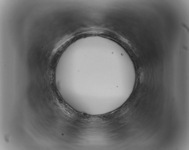 X0000100411448200806271433