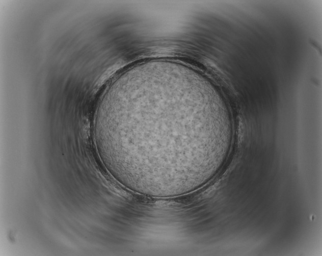 X0000100411449200806271433