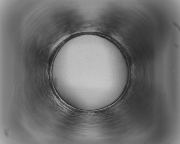 X0000100411452200806271433