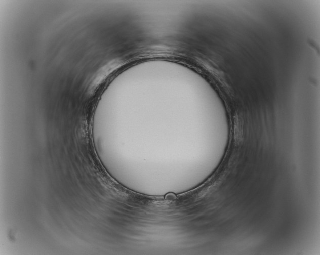 X0000100411453200806271433