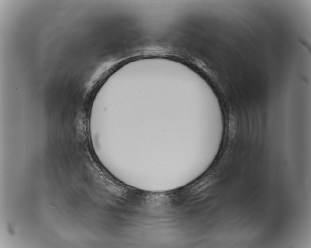 X0000100411454200806271433