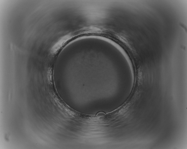 X0000100411455200806271433