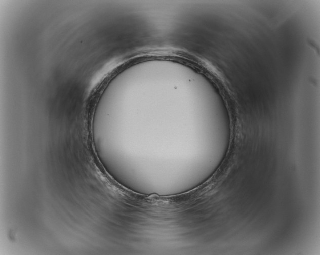 X0000100411456200806271433