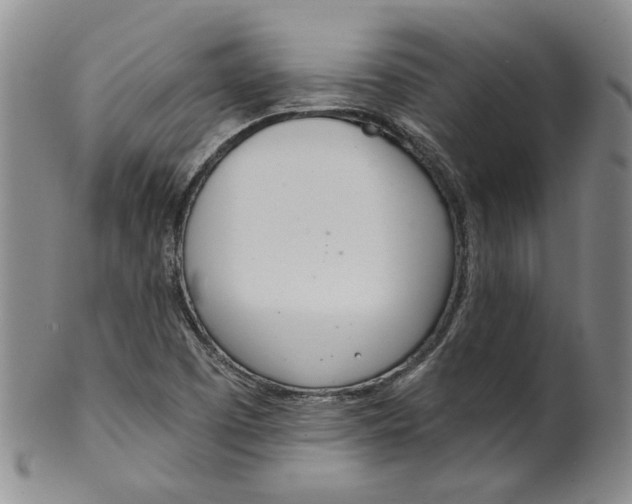 X0000100411457200806271433