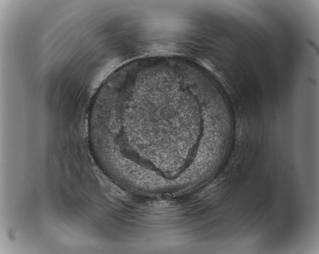 X0000100411459200806271433