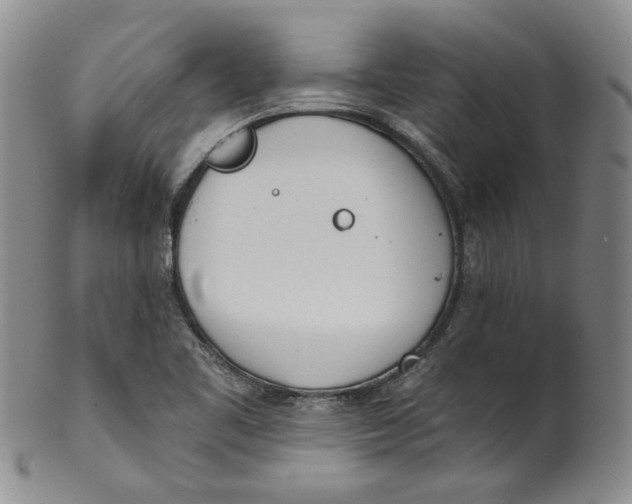 X0000100411461200806271433