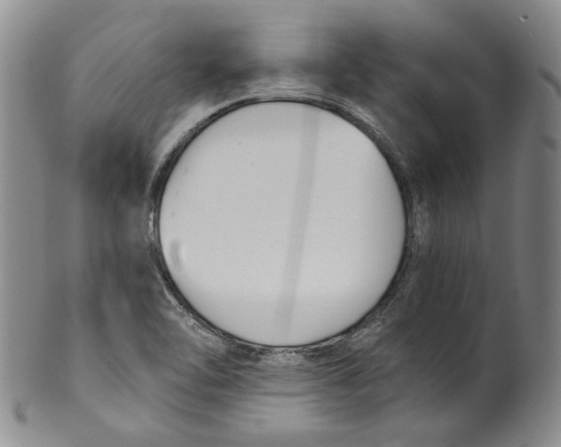 X0000100411462200806271433