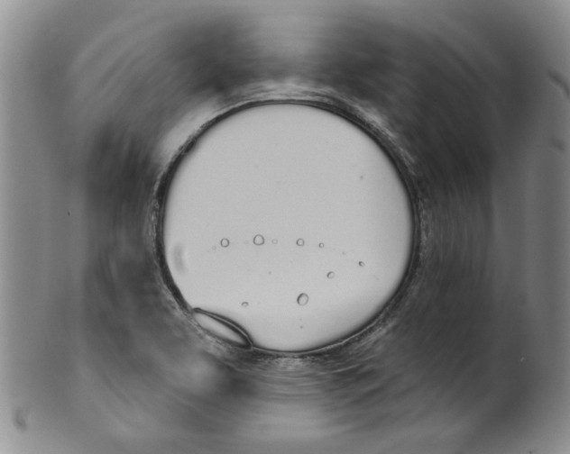 X0000100411463200806271433