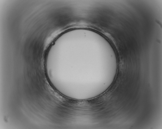 X0000100411464200806271433