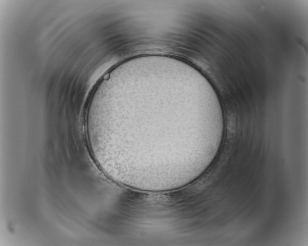 X0000100411466200806271433