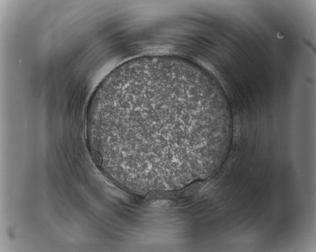 X0000100411467200806271433