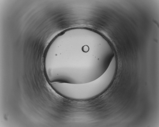 X0000100411468200806271433