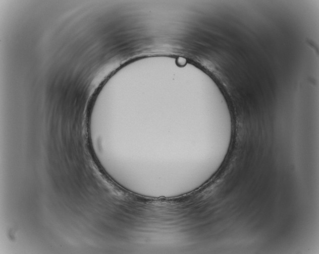 X0000100411469200806271433