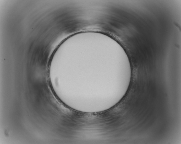 X0000100411470200806271433