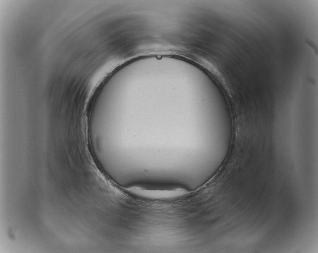 X0000100411472200806271432