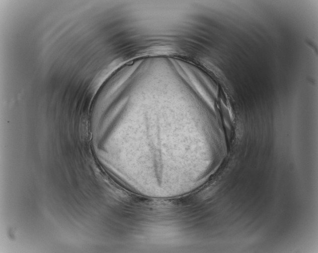 X0000100411473200806271432