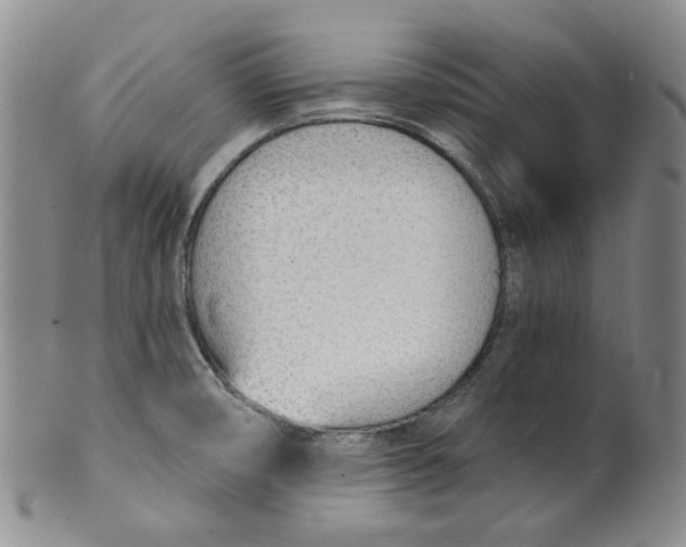 X0000100411474200806271432