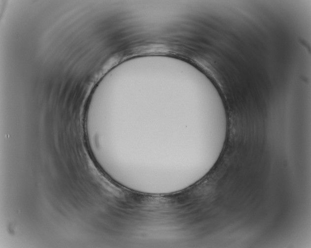 X0000100411475200806271432