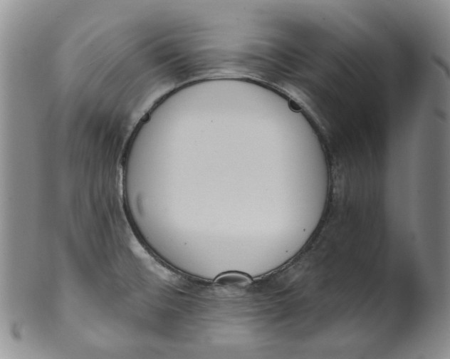 X0000100411476200806271432