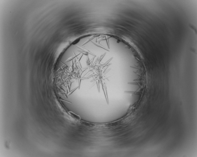 X0000100411477200806271432