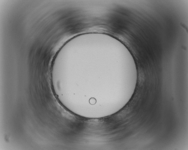 X0000100411478200806271432