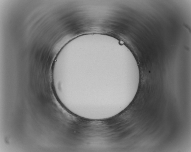 X0000100411479200806271432