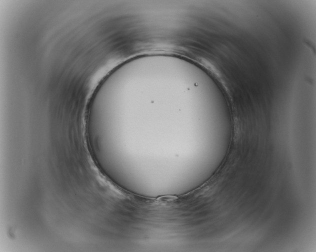 X0000100411480200806271432