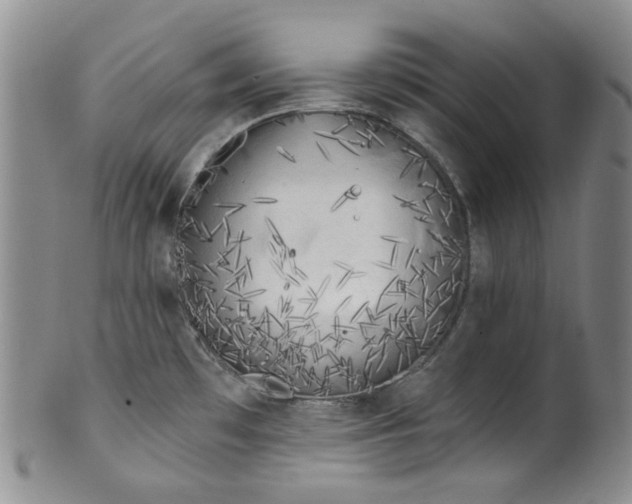 X0000100411481200806271432