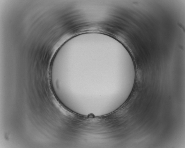 X0000100411482200806271432