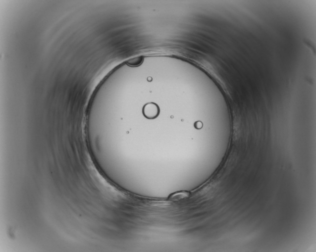 X0000100411484200806271432