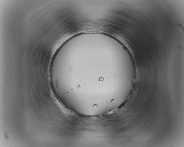 X0000100411485200806271432