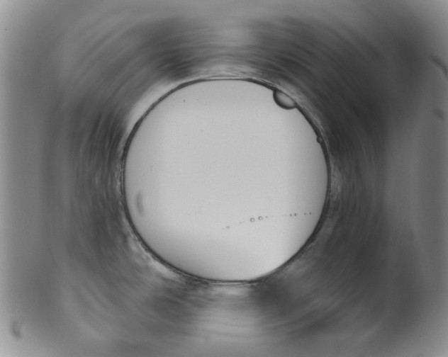 X0000100411486200806271432