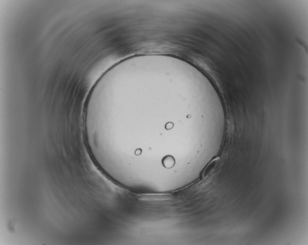 X0000100411487200806271432