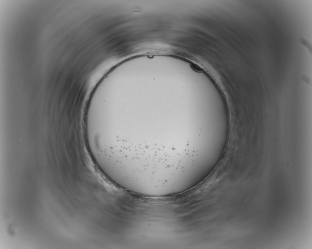 X0000100411488200806271432