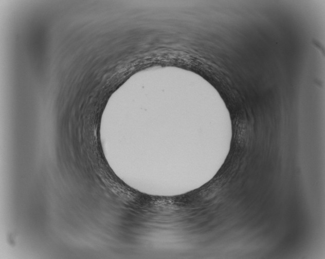 X0000100411489200806271431