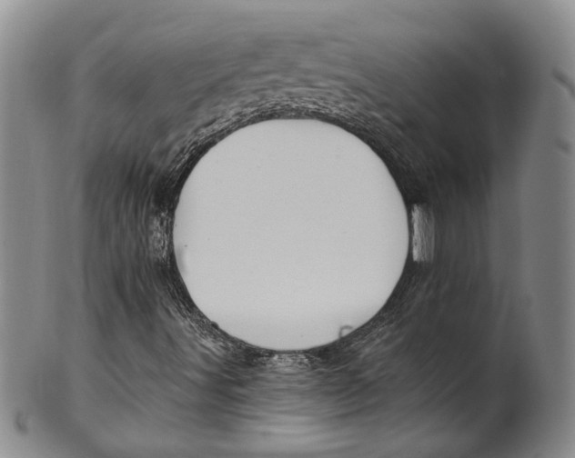 X0000100411491200806271431