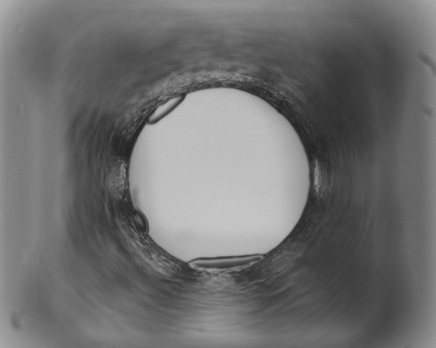 X0000100411492200806271431