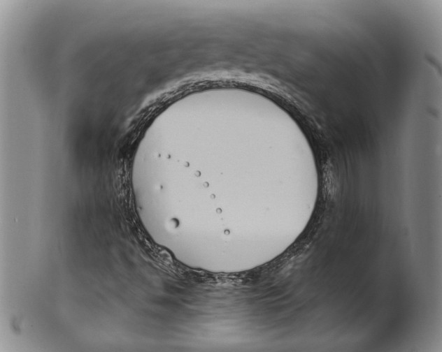 X0000100411494200806271431