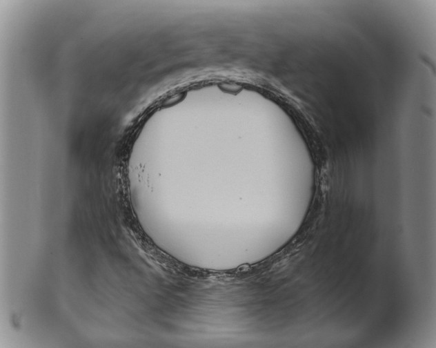 X0000100411496200806271432