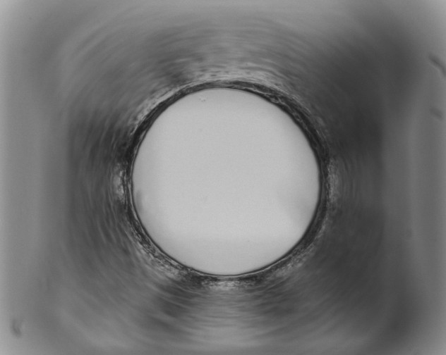 X0000100411497200806271432