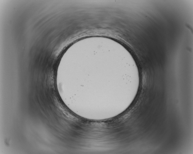 X0000100411498200806271432