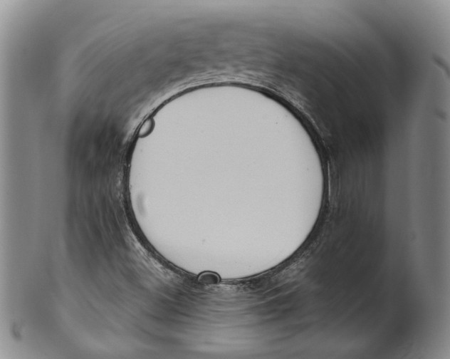 X0000100411500200806271432