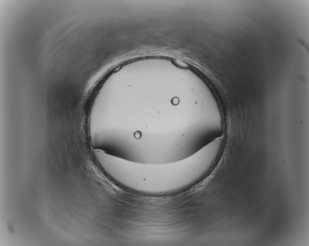 X0000100411502200806271432