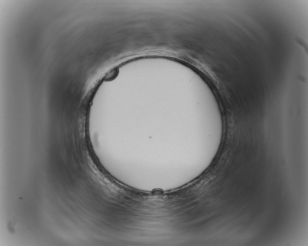 X0000100411504200806271432