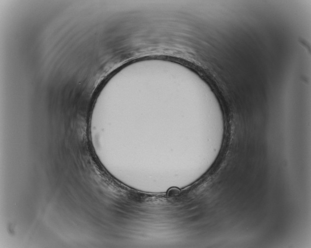 X0000100411505200806271432